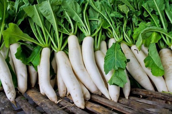 Radish Benefits